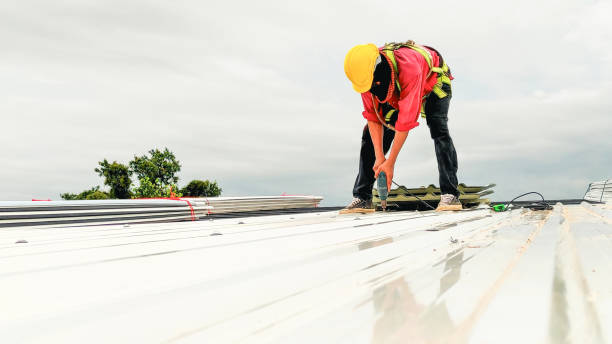 Steel Roofing in Endicott, NY